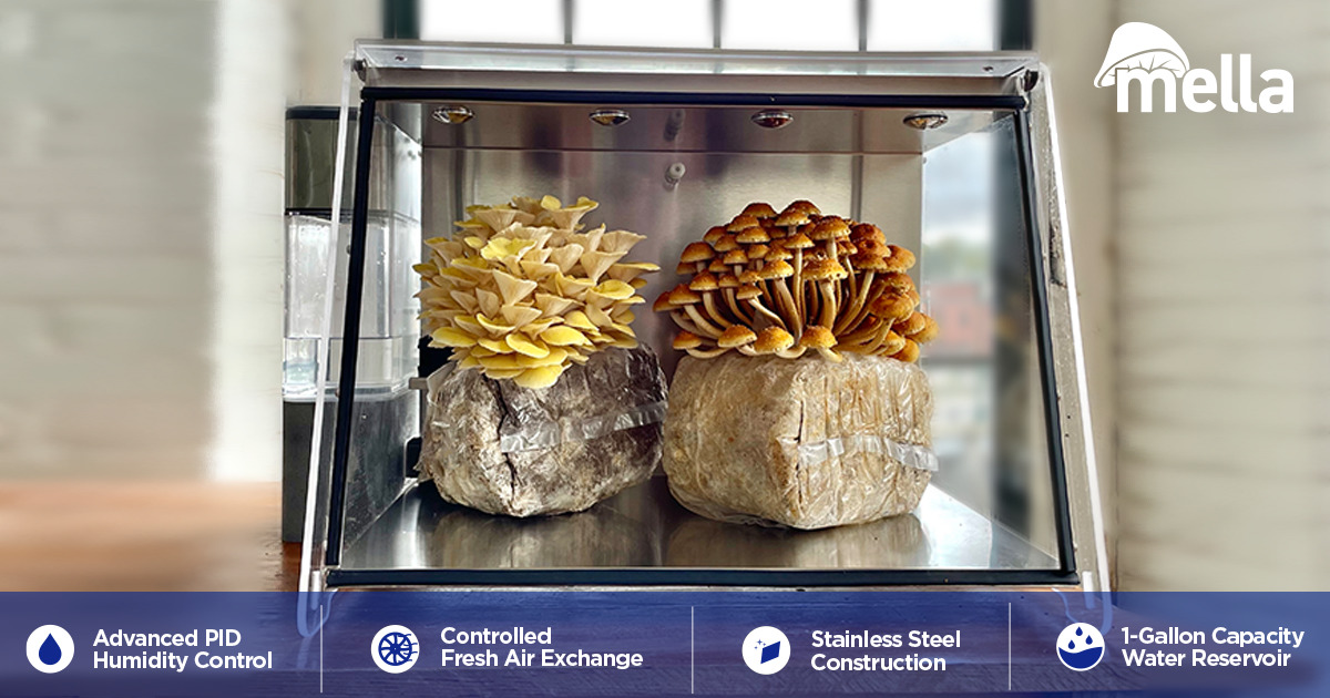 Mella The Smart Mushroom Fruiting Chamber